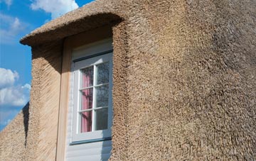 Laxo thatch roof disadvantages